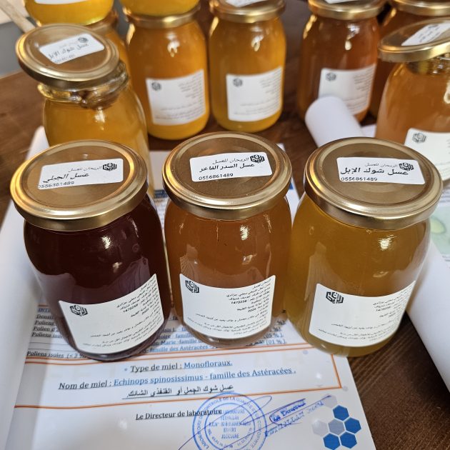 ⭐ باقة التوازن الذهبي