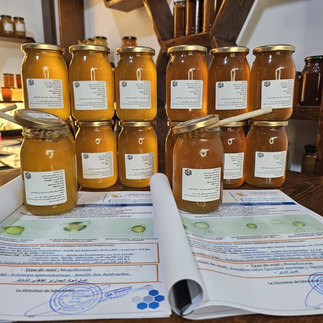 عرض خاص بالسدر و شوك الابل